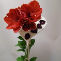 GP028 Amarilio puokštė