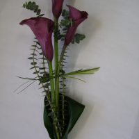 GP029 Kalijų puokštė