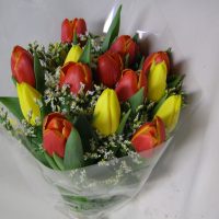 GP031 Tulpių puokštė