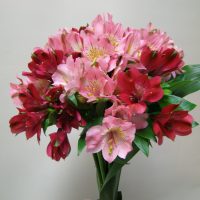 GP035 Alstramerijų puokštė