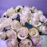 GP037 Rožių puokštė