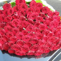GP039 100 raudonų rožių puokštė