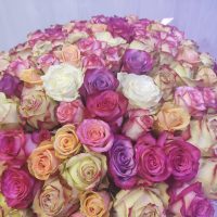 GP040 100 įvairių spalvų rožių puokštė
